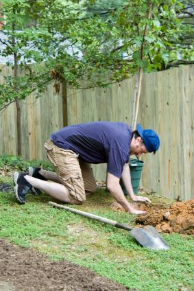 person planting tree