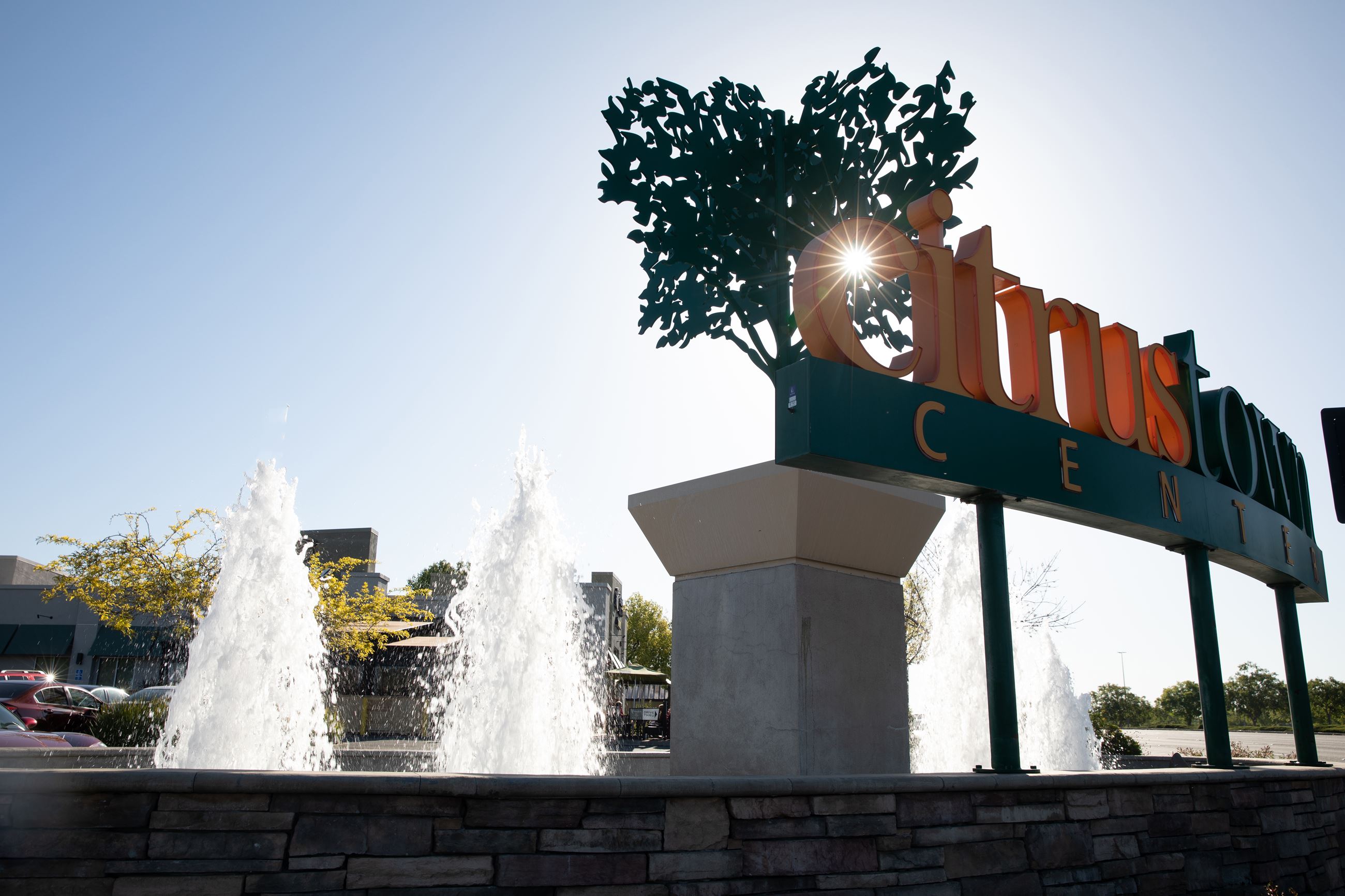 Citrus Town Center Sign