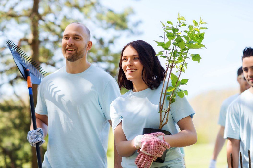 Tree planting