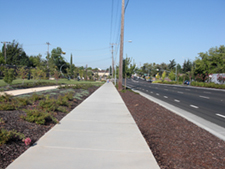 Complete street