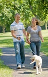 Couple walking dog on trail