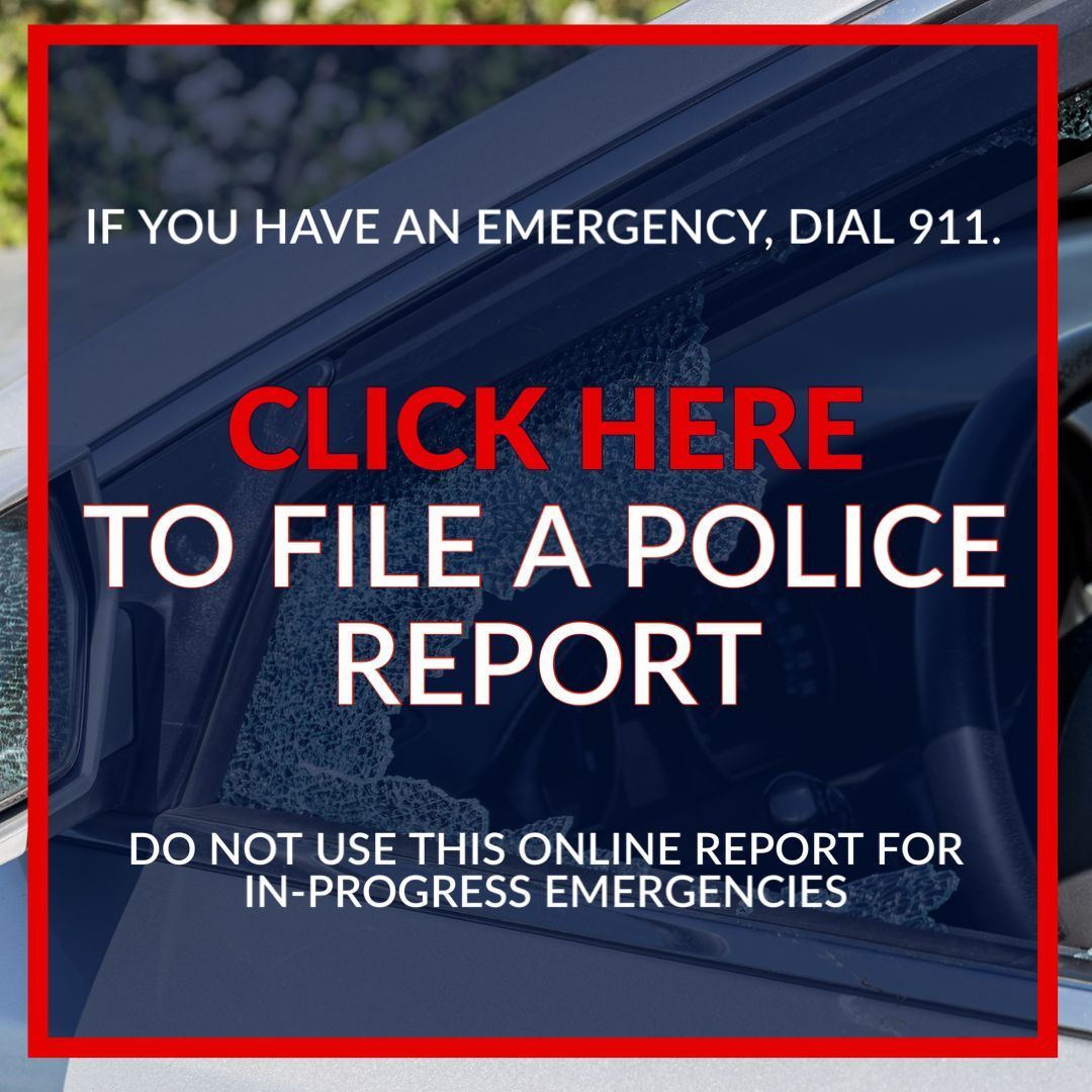 ONLINE REPORTING