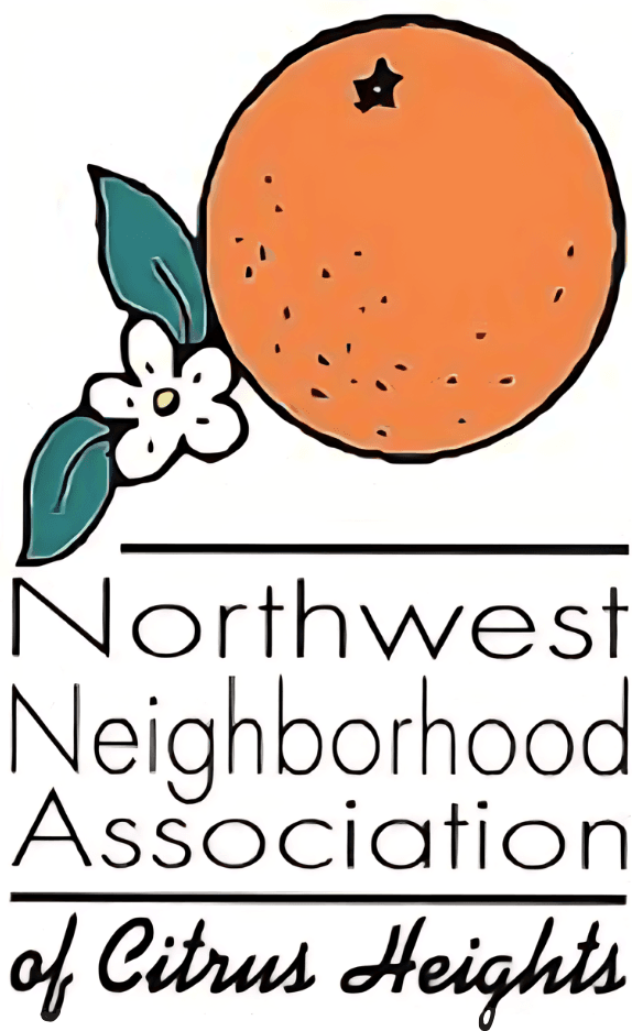 NA1 Logo