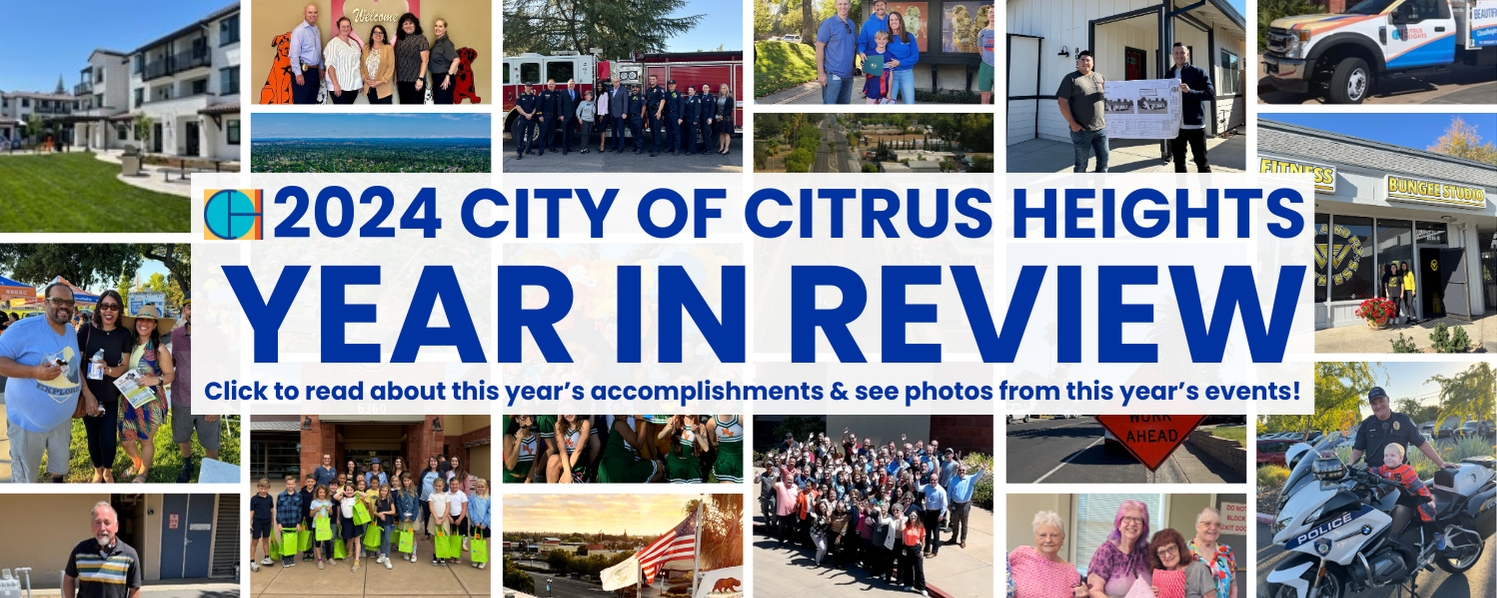 Year in Review with Images