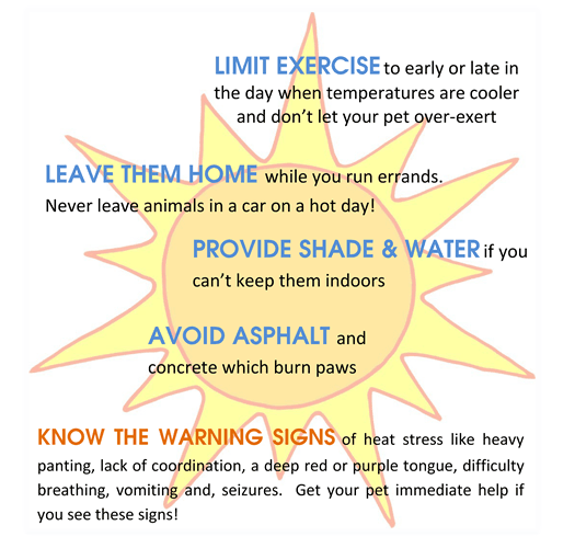 summer tips