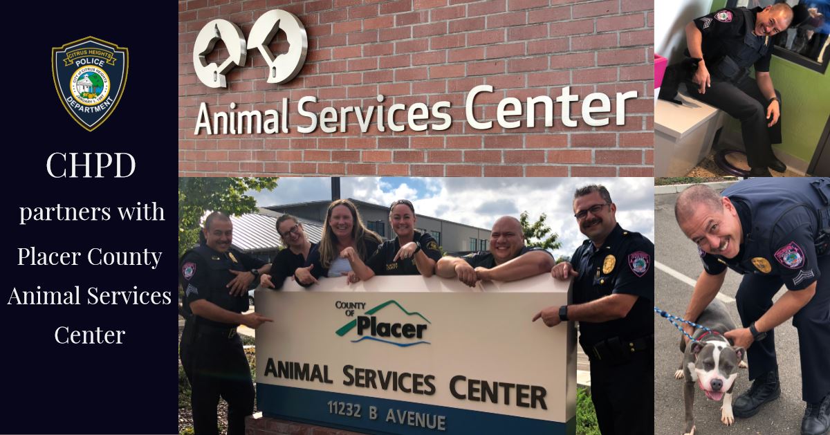 CHPD partners with Placer County Animal Services Center