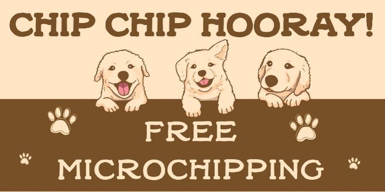 Chip Chip Hooray