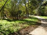 Creek Corridor Nature View - 1