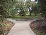 Creek Corridor Path - 1