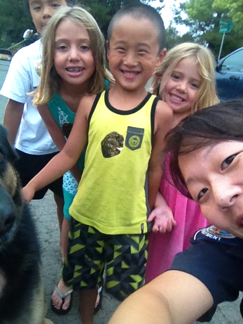 NNO 31