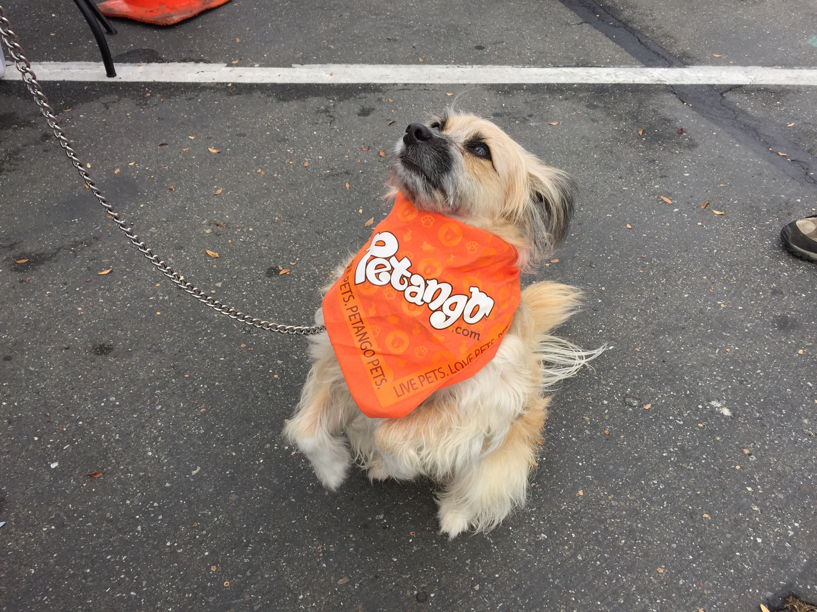 An eager costume contestant